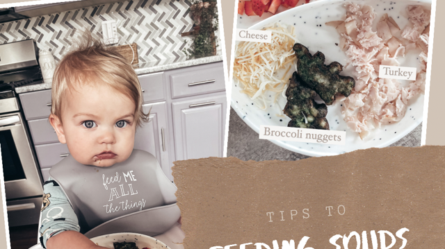 Are Toddler Divided Plates Useful?