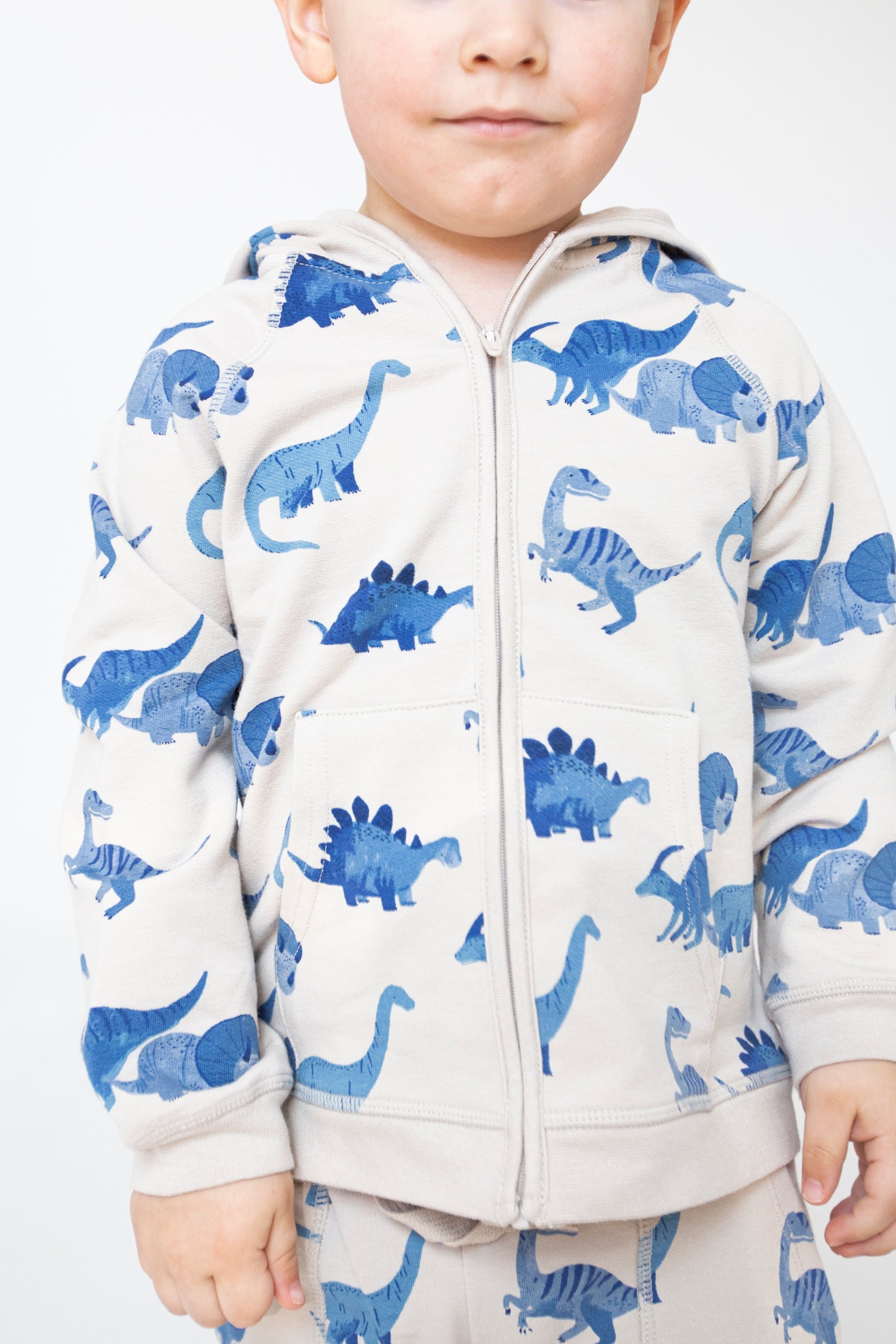 French Terry Hoodie & Jogger Set, Blue Dinos