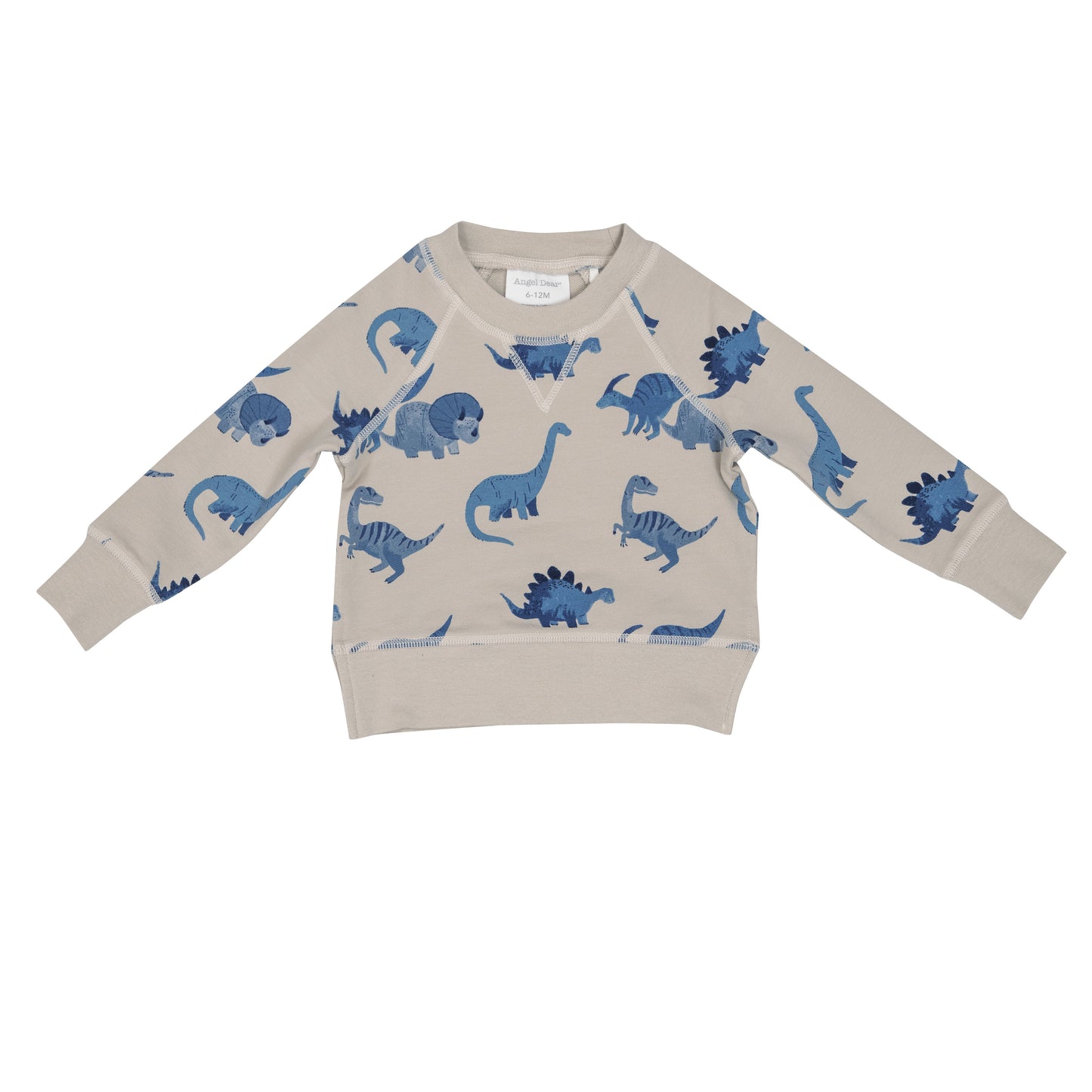 French Terry Raglan Sweatshirt & Jogger Set, Blue Dinos