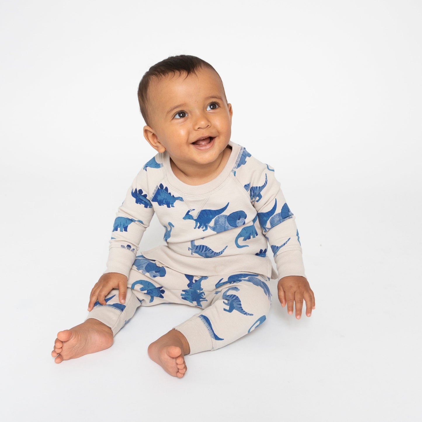 French Terry Raglan Sweatshirt & Jogger Set, Blue Dinos