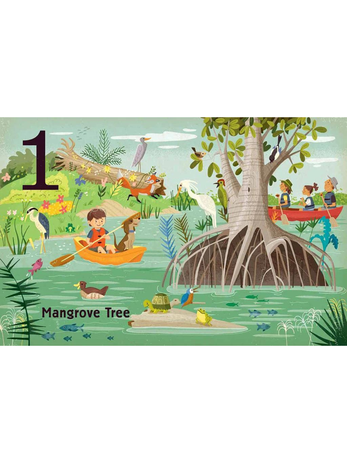 Illustration of a mangrove tree with animals, people in boats, and vibrant greenery, labeled "Mangrove Tree."