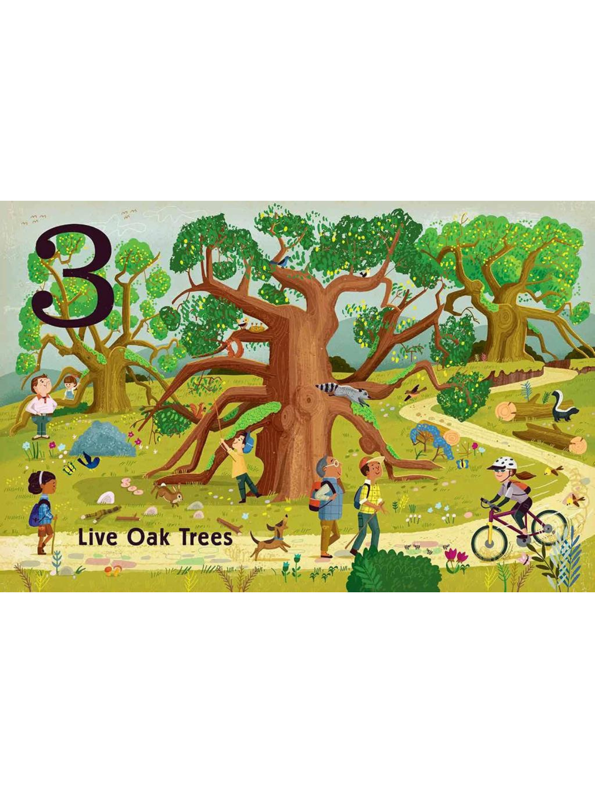 Illustration of live oak trees with people exploring, biking, and enjoying nature. Colorful and lively scene.