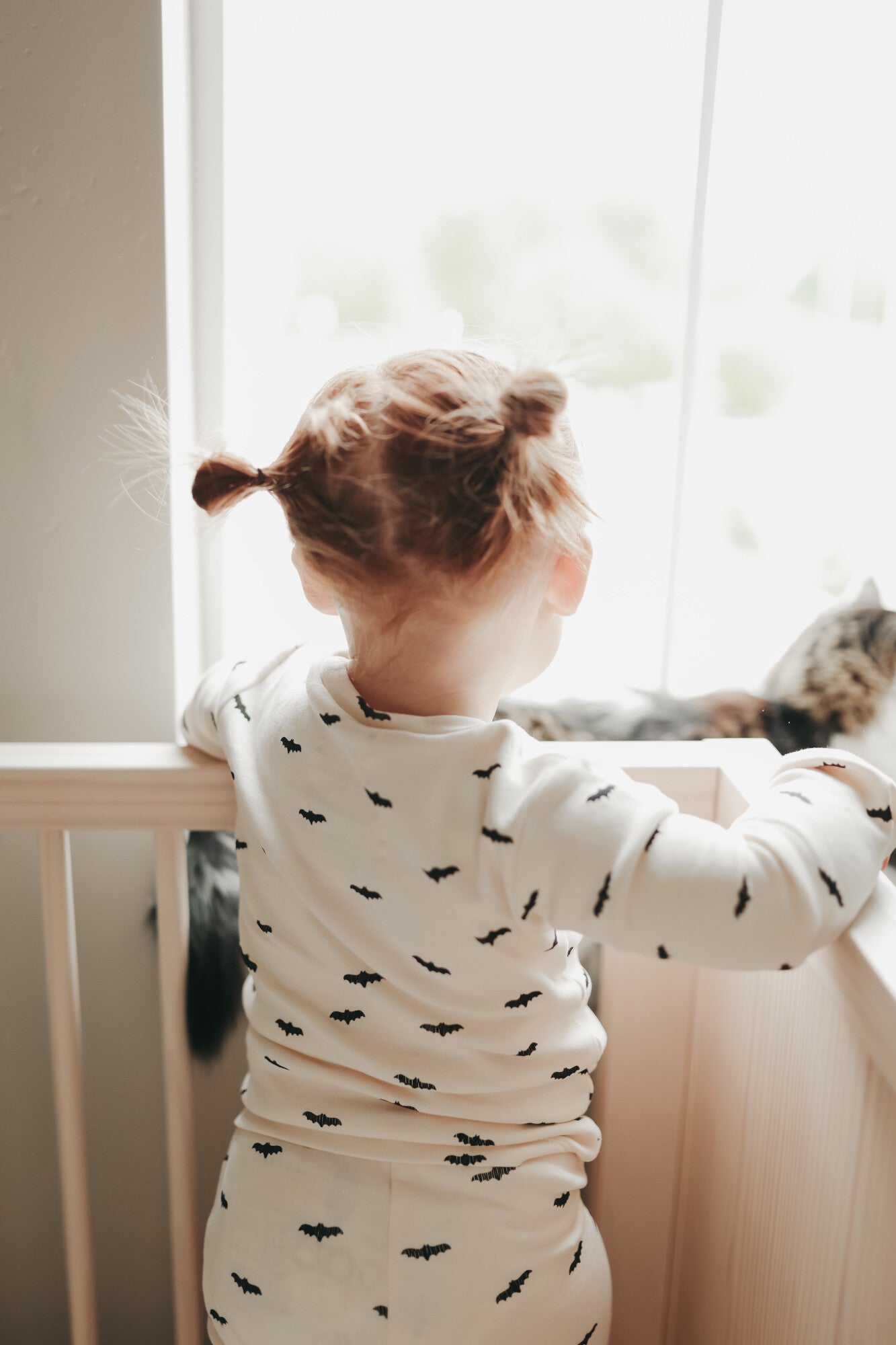 Organic Long Sleeve Pajama Set, Bats