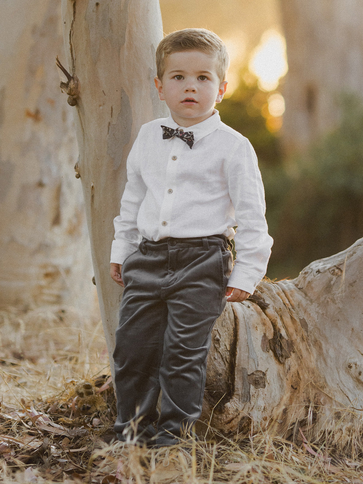 Young boy in a bow tie and button-up shirt standing by a tree in a sunlit, outdoor setting.