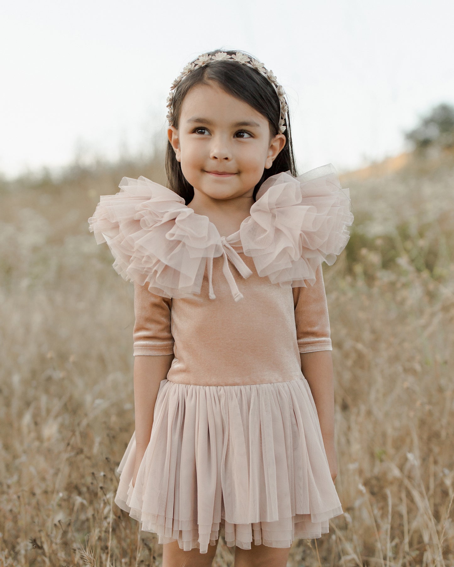 Ruffle Tulle Collar, Blush