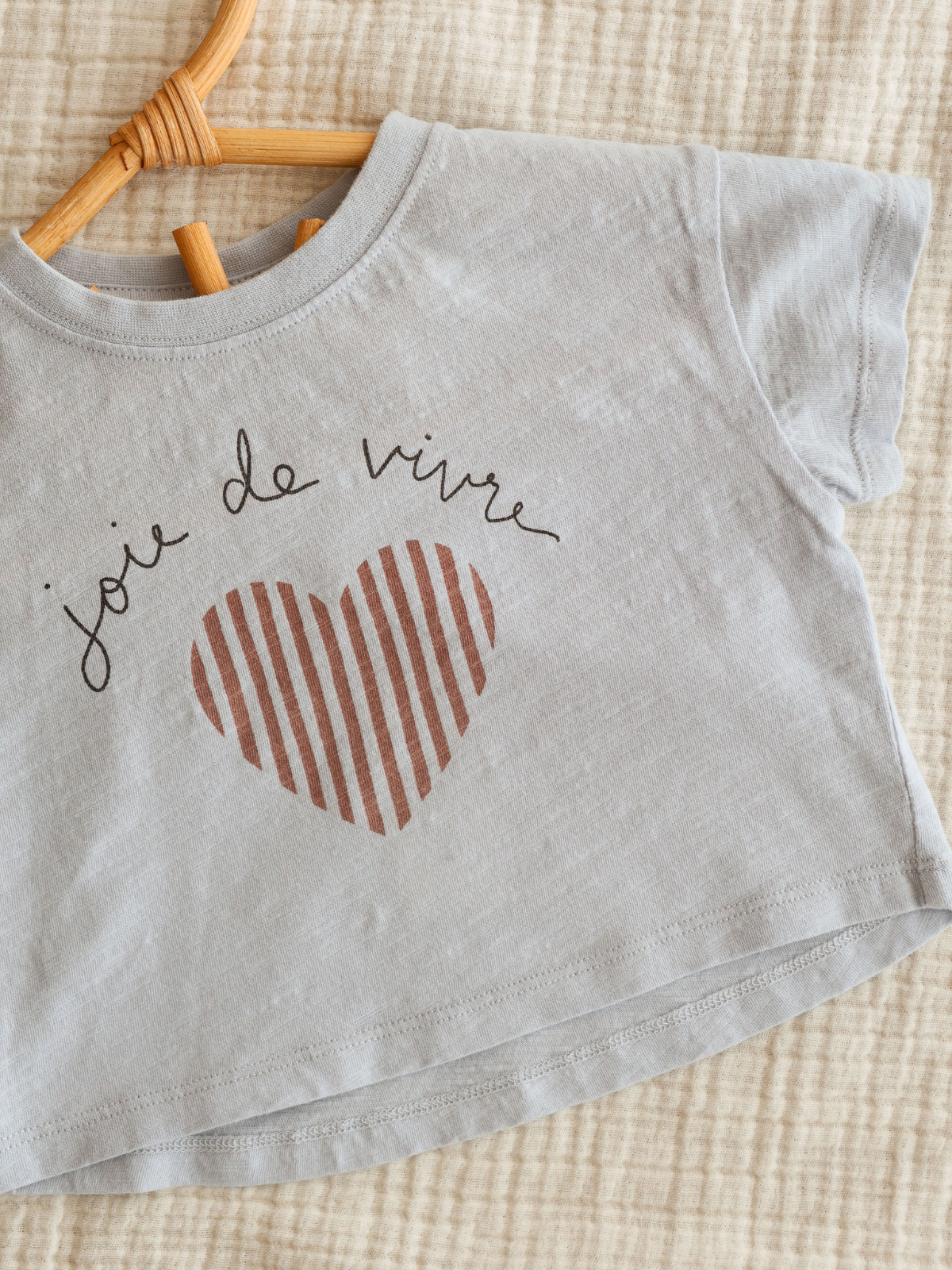 Light gray cropped t-shirt with "joie de vivre" text and a striped heart graphic, hanging on a wooden hanger.