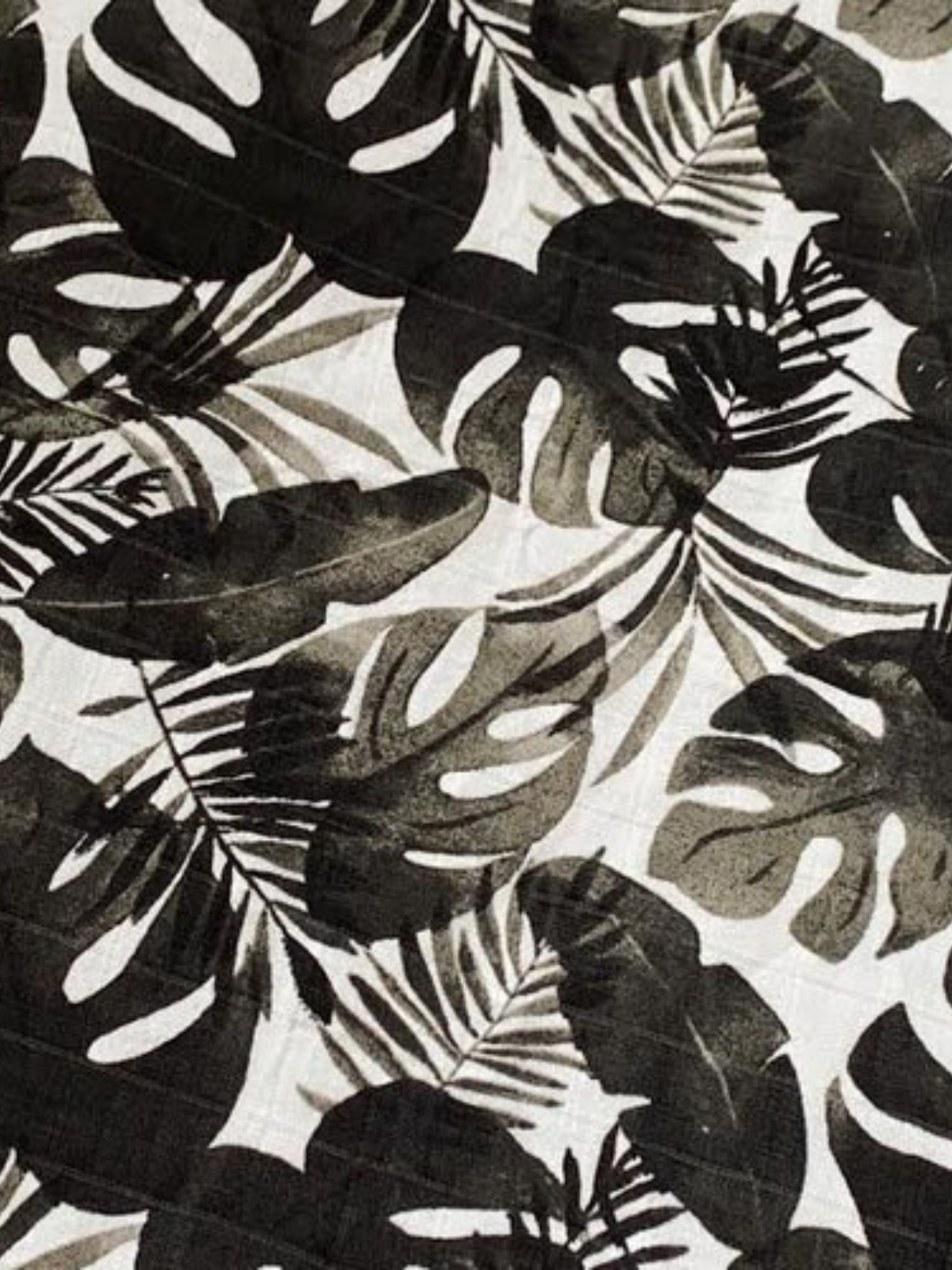 Black and white tropical leaf pattern on a textured background.