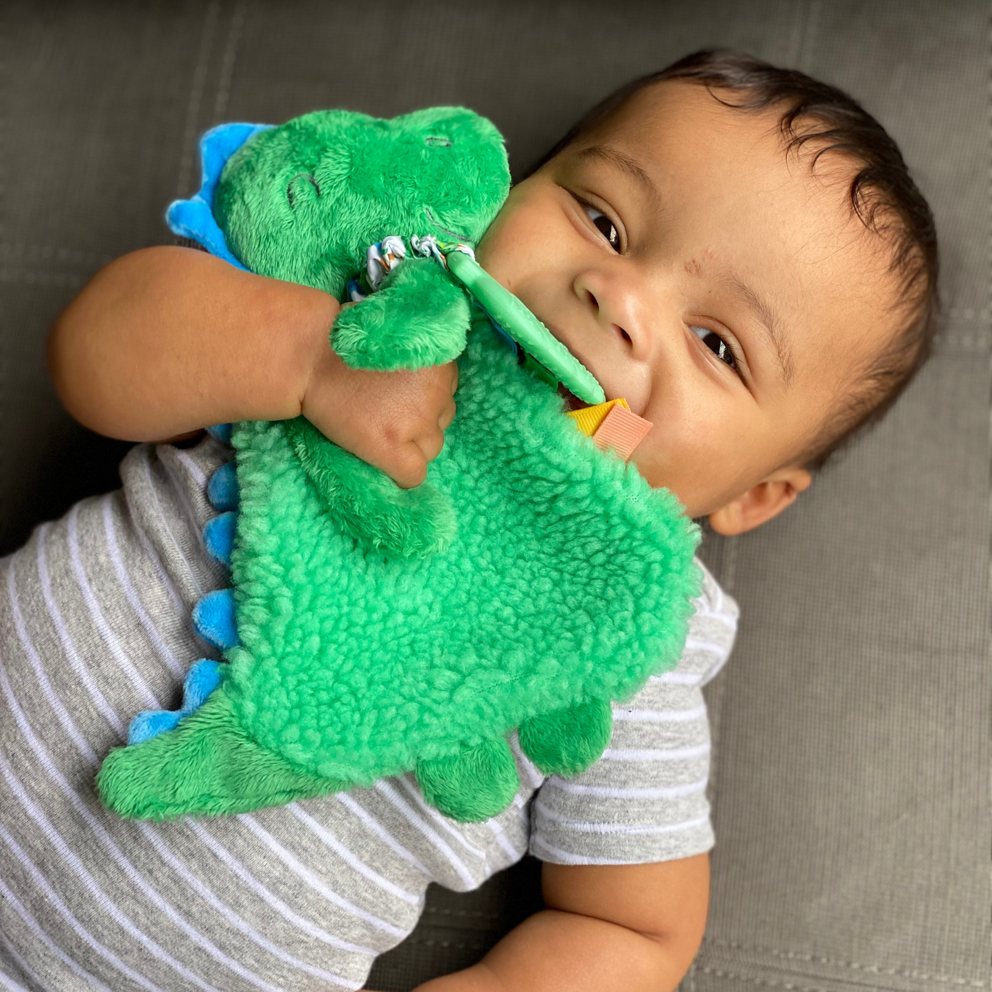 Itzy Lovey™ Plush Teether Toy, Dino