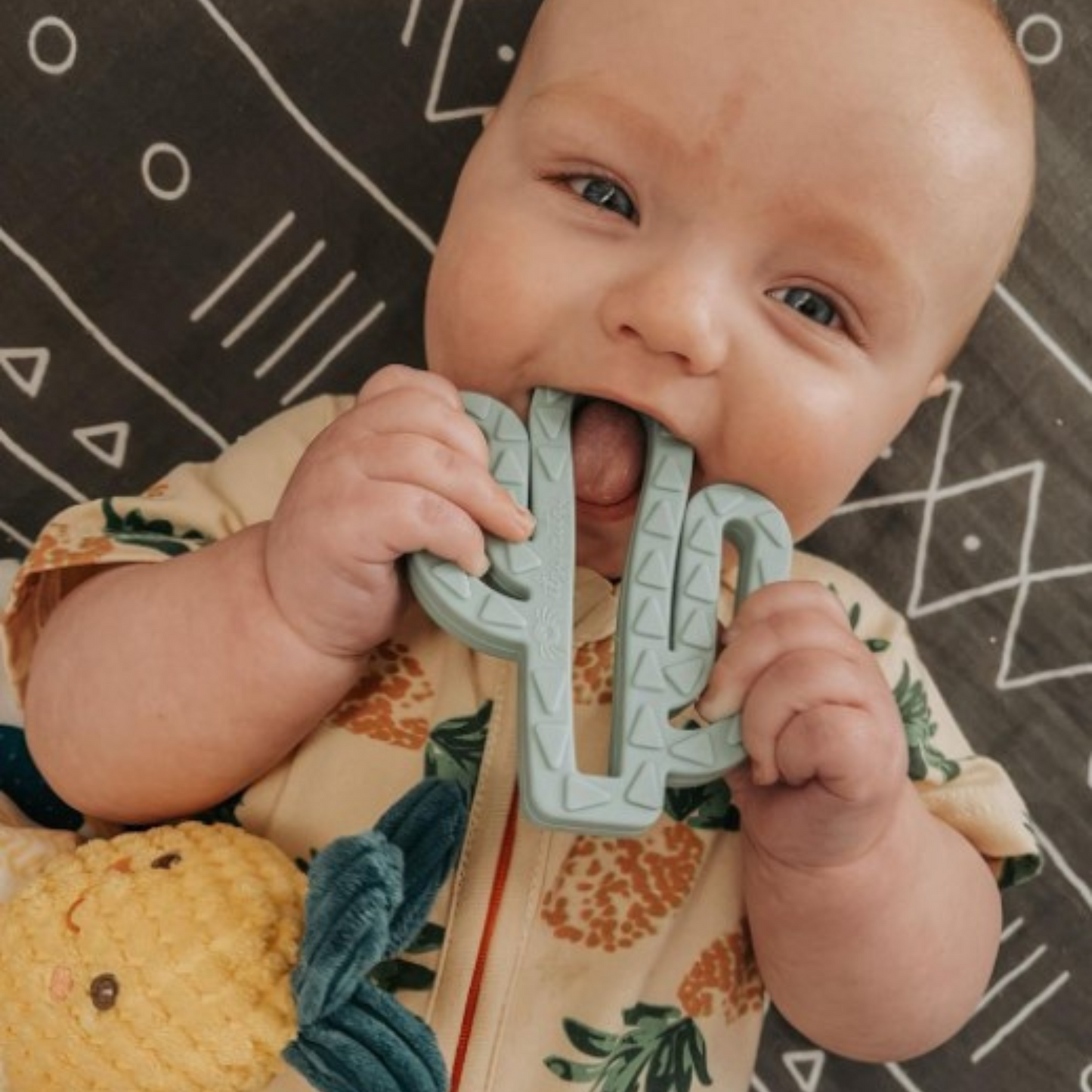 Silicone Baby Teether, Cactus