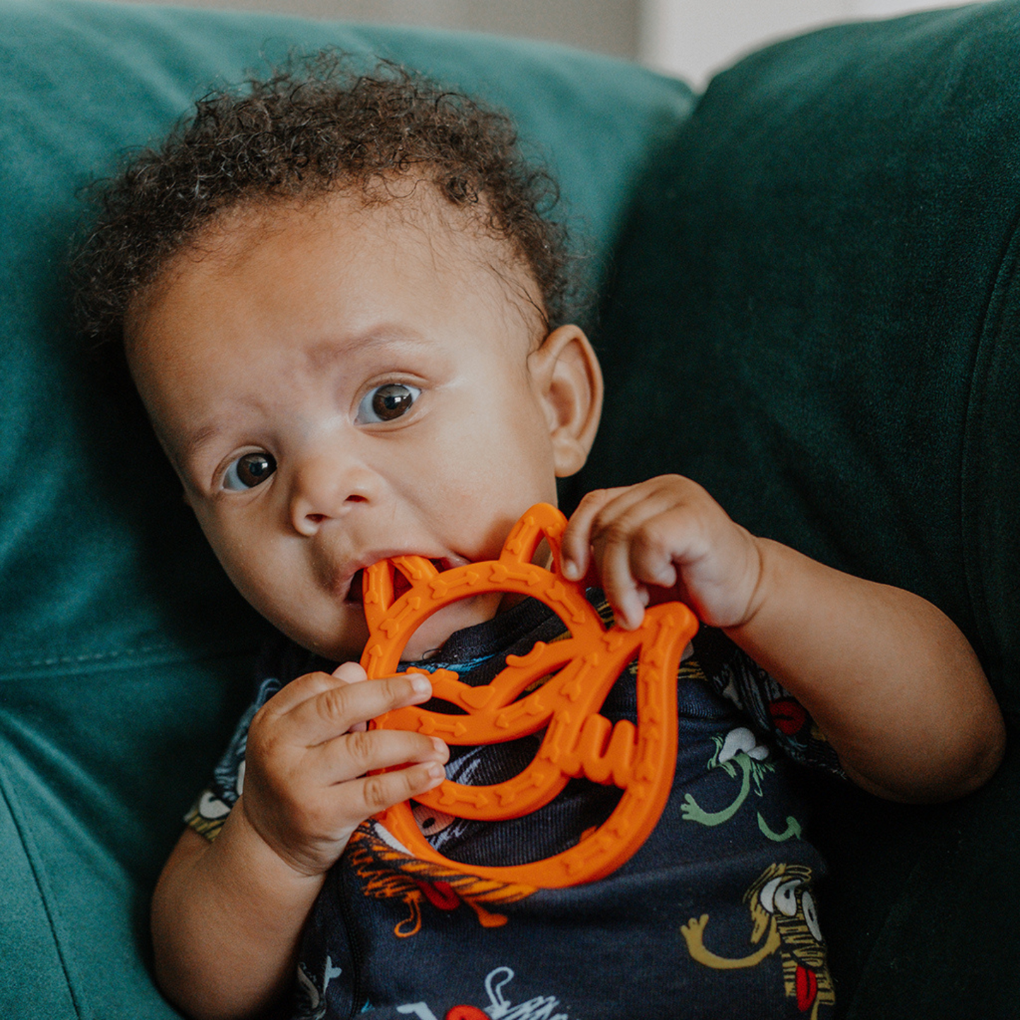 Silicone Baby Teether, Fox