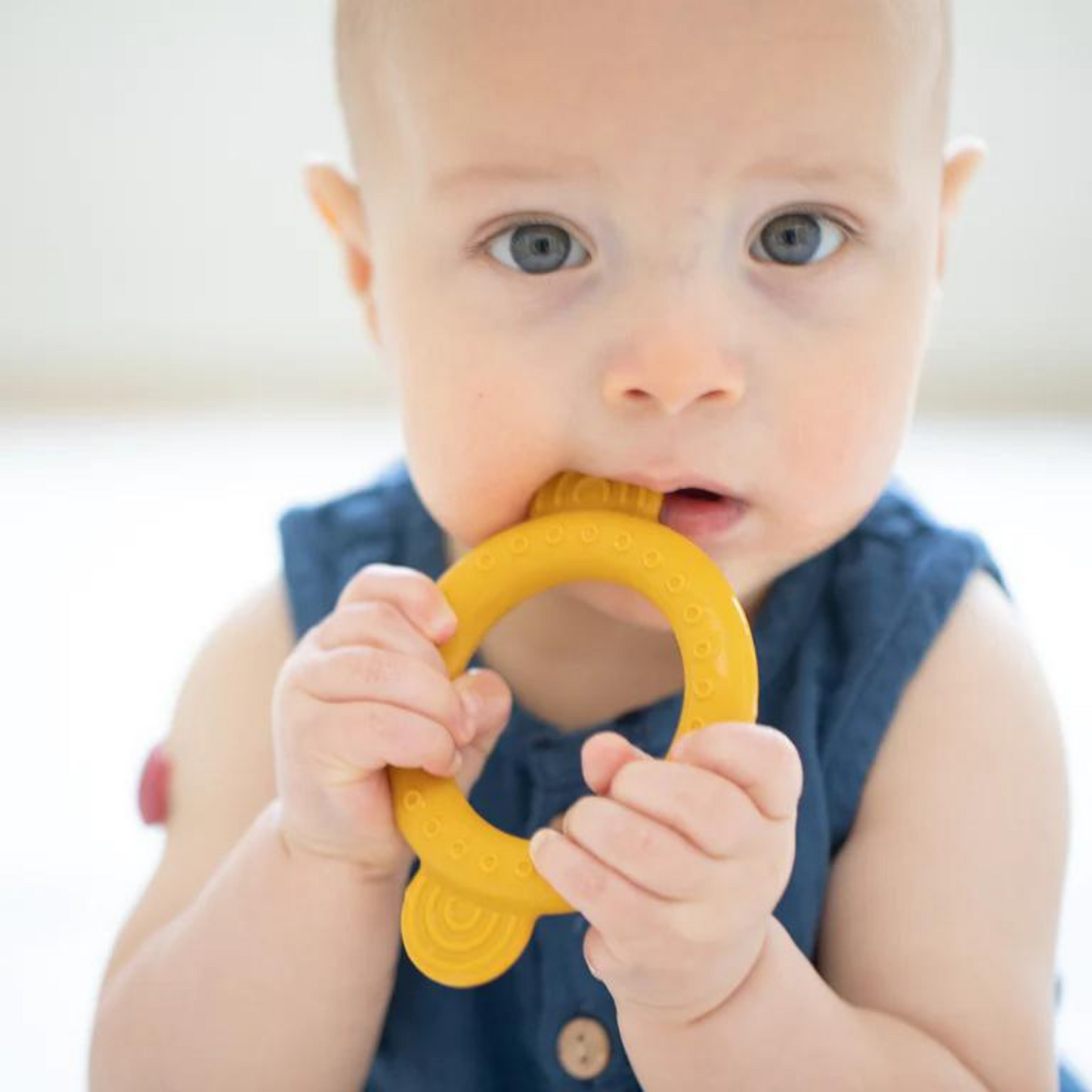 Rattle Teether, Monkey