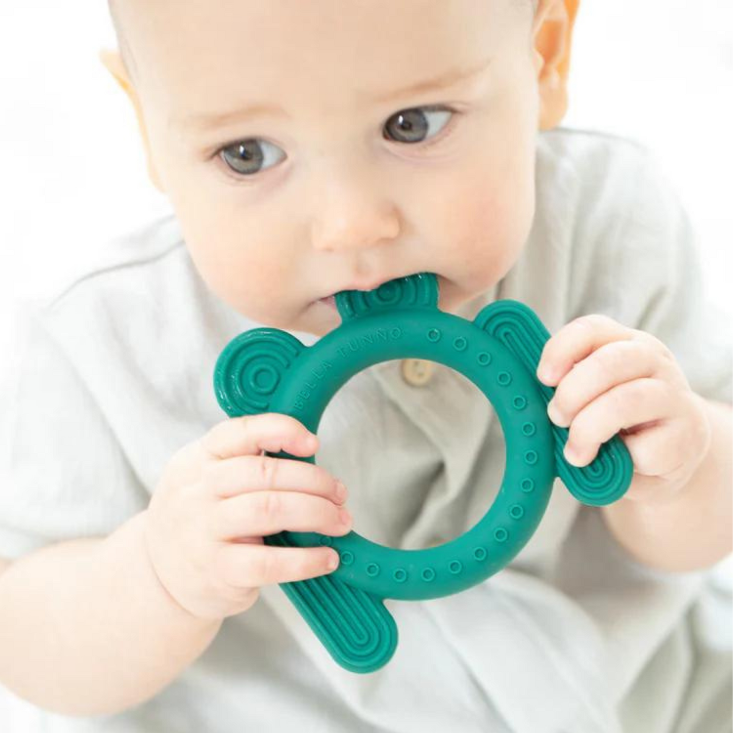 Rattle Teether, Frog