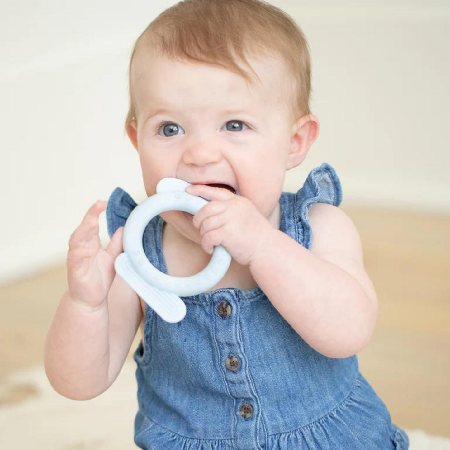 Rattle Teether, Dog