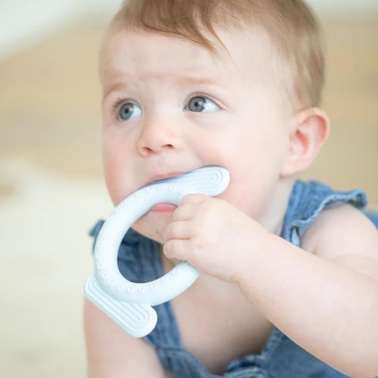 Rattle Teether, Dog