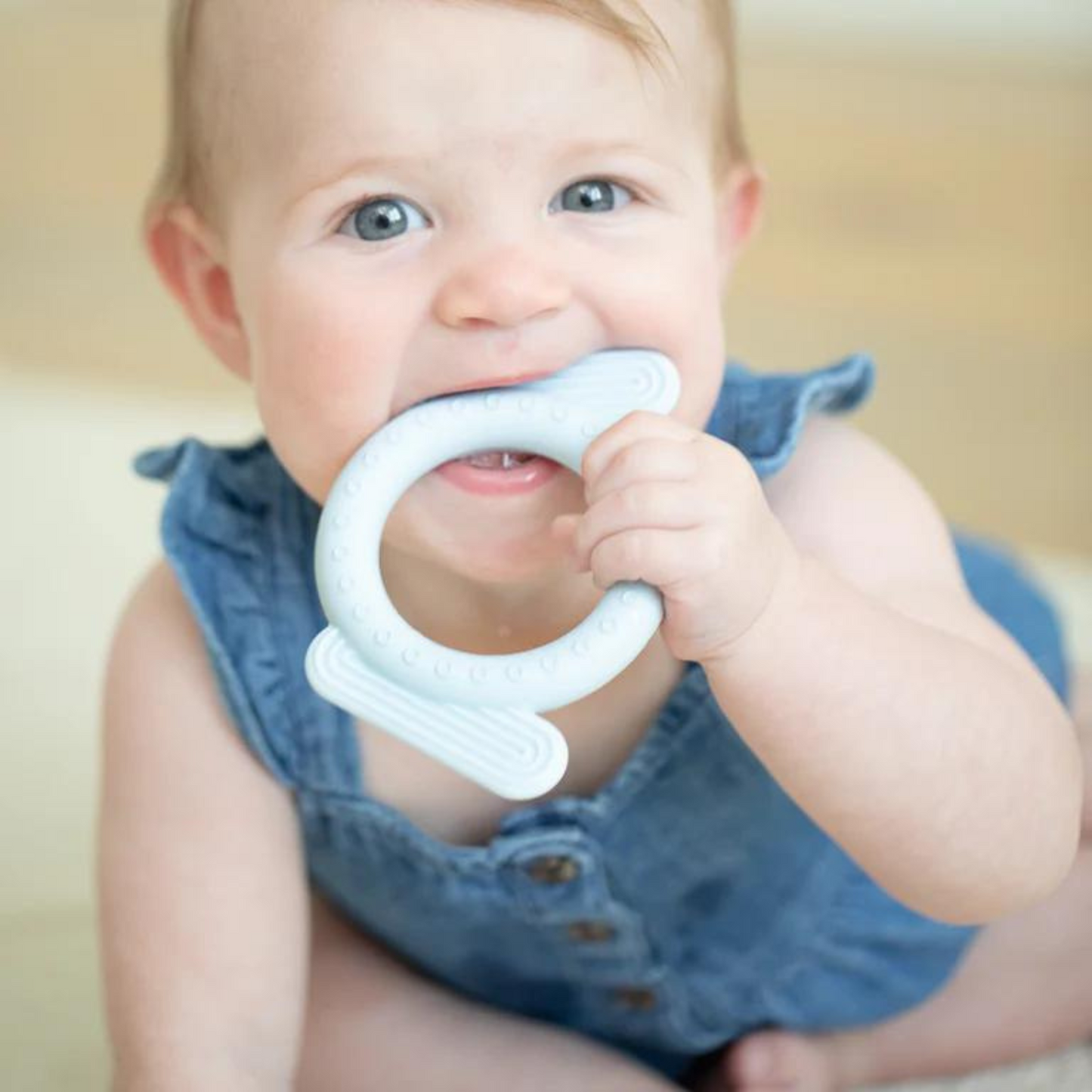 Rattle Teether, Dog
