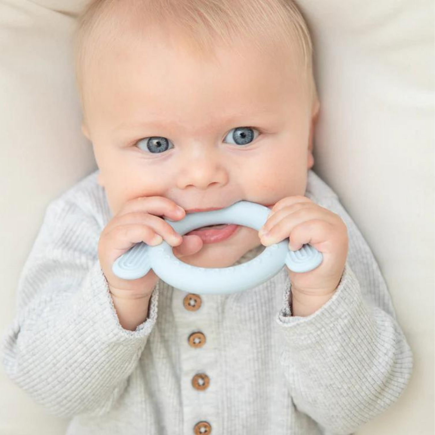 Rattle Teether, Dog