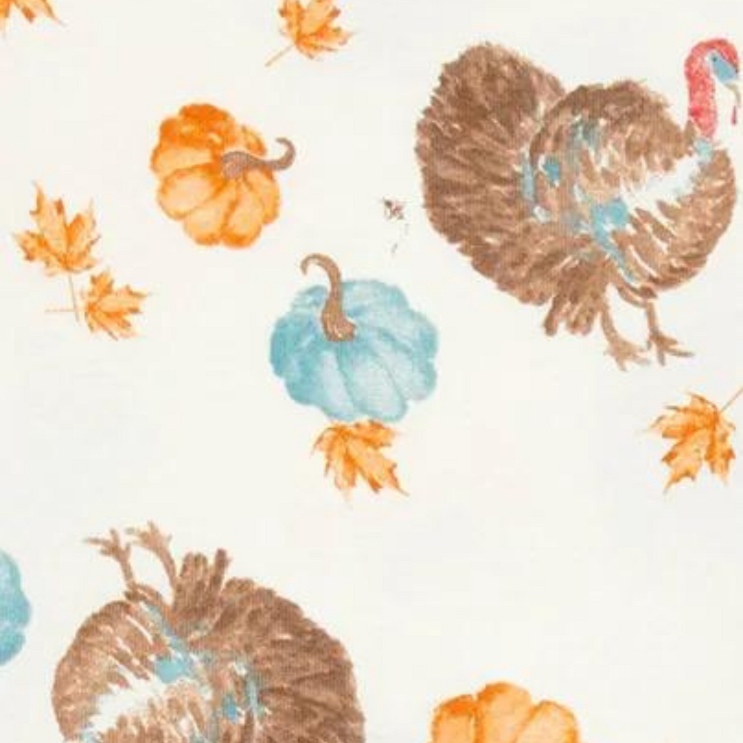 Organic 2-Piece Pajama Set, Turkey Time