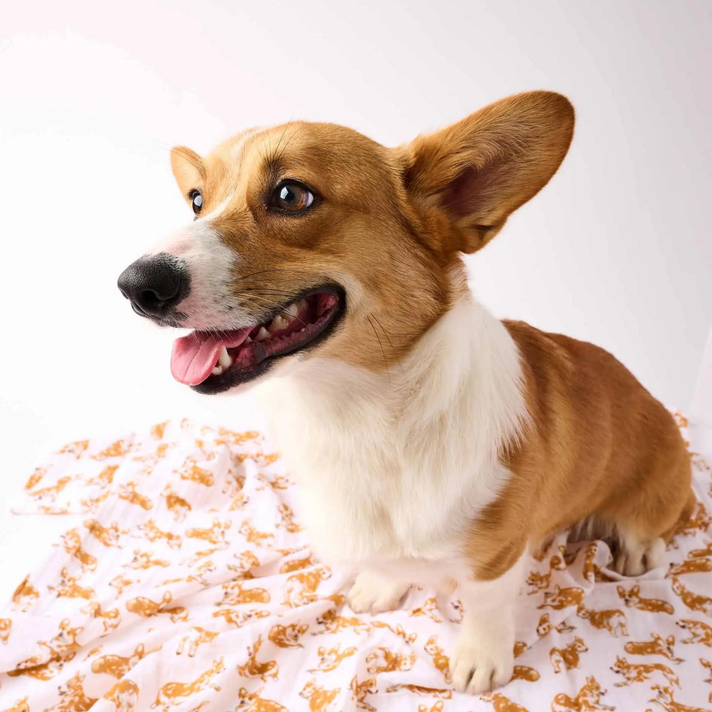Corgi Muslin Swaddle Blanket