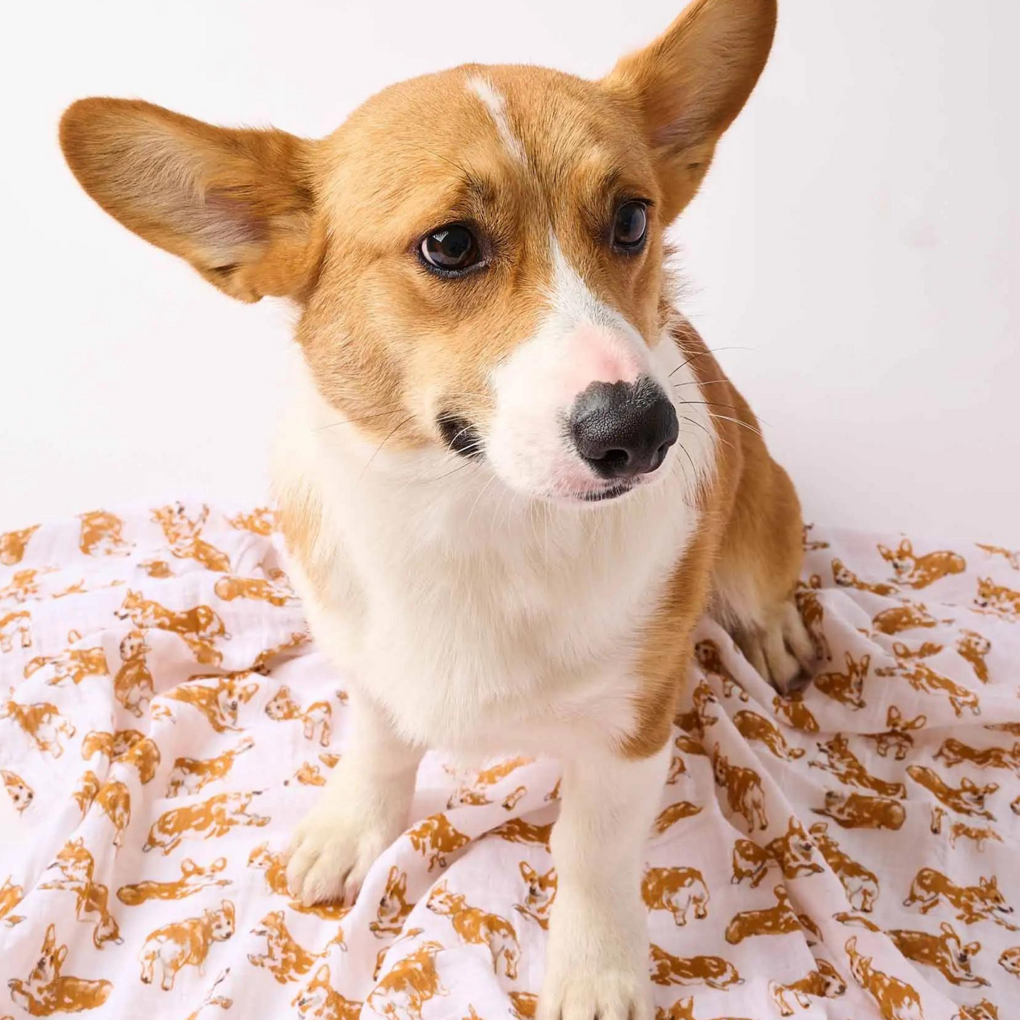 Corgi Muslin Swaddle Blanket