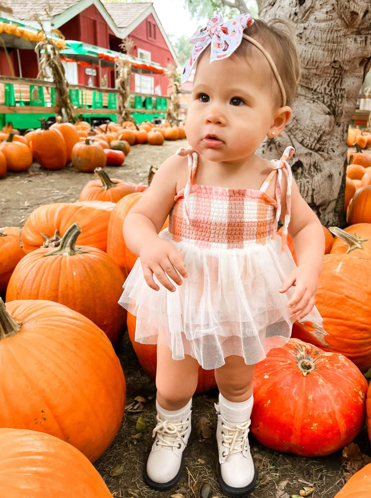 Toddler in a pink and white dress stands among pumpkins, wearing a large bow and cute boots.