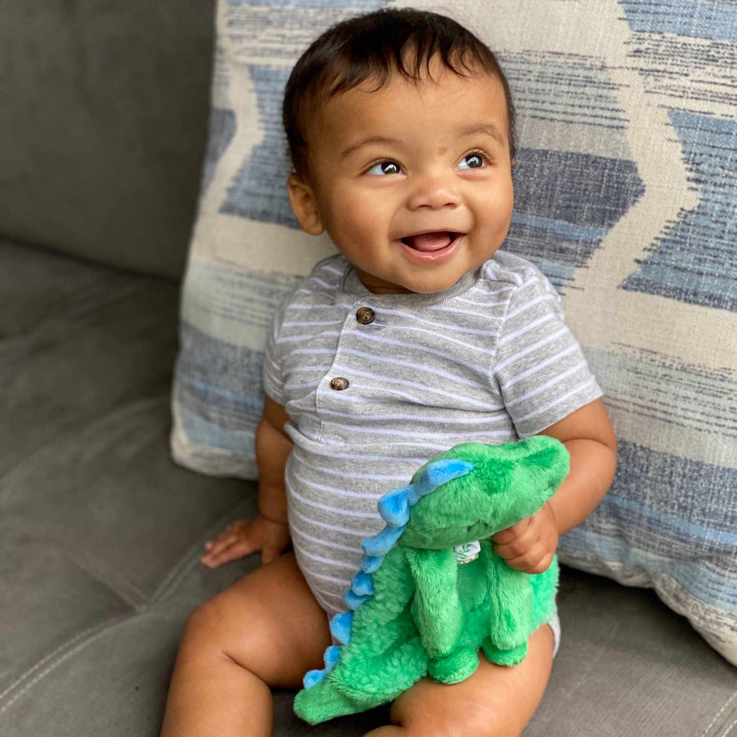 Itzy Lovey™ Plush Teether Toy, Dino