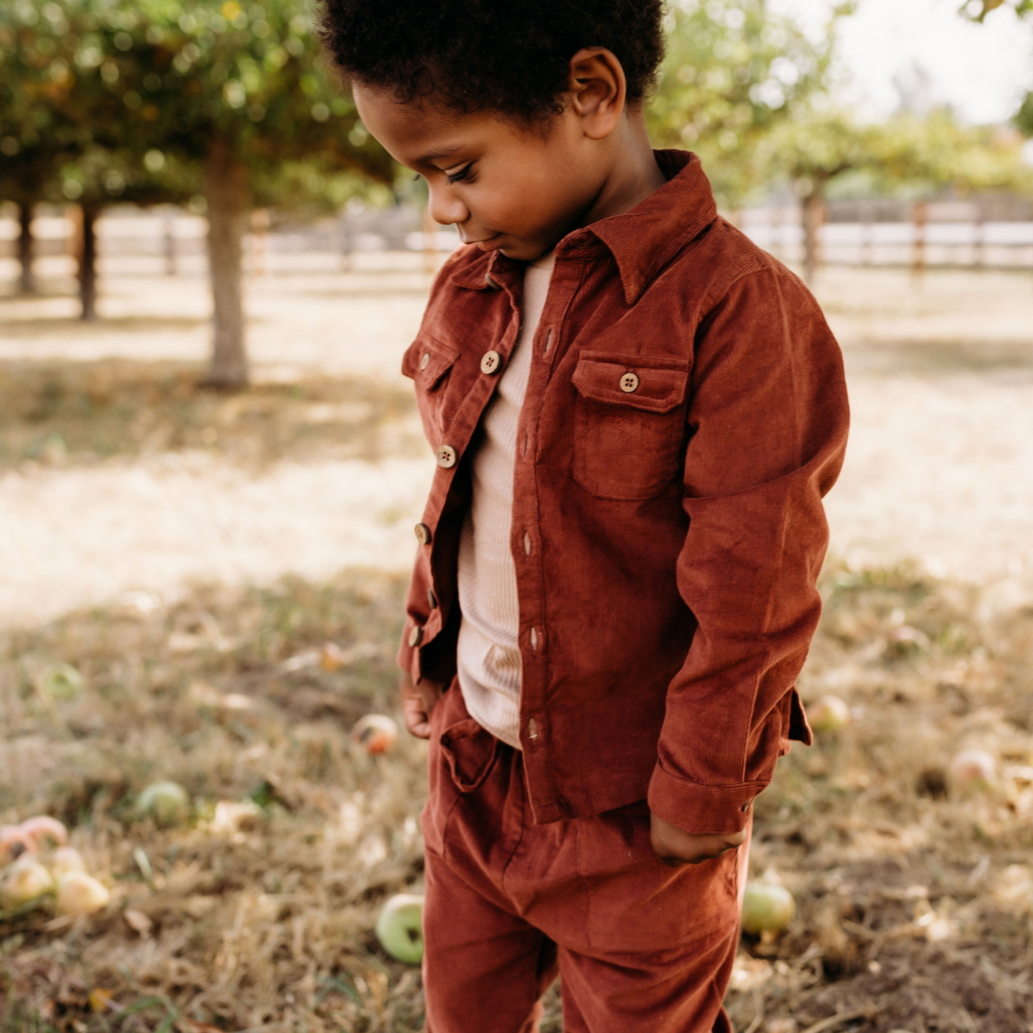 Corduroy Button Down Shirt, Rust