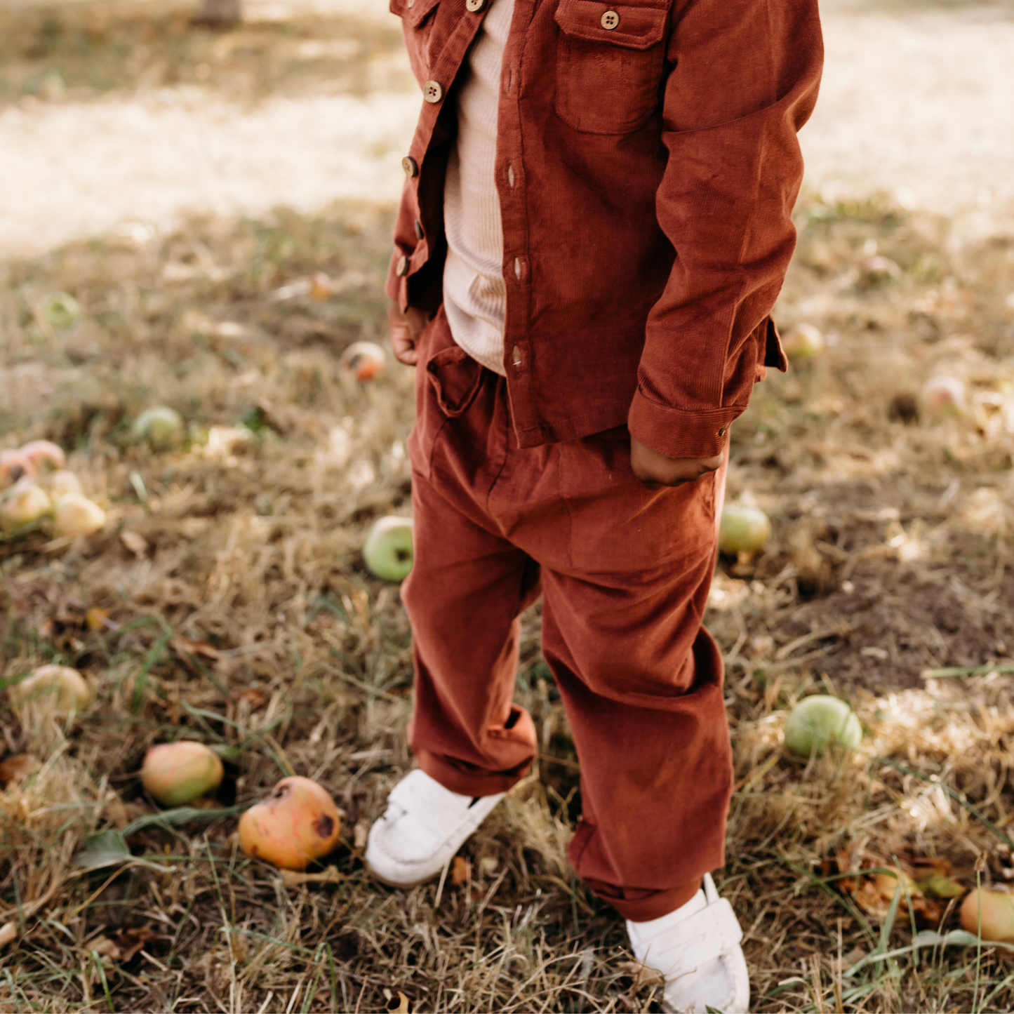 Fine Wale Corduroy Pant, Rust