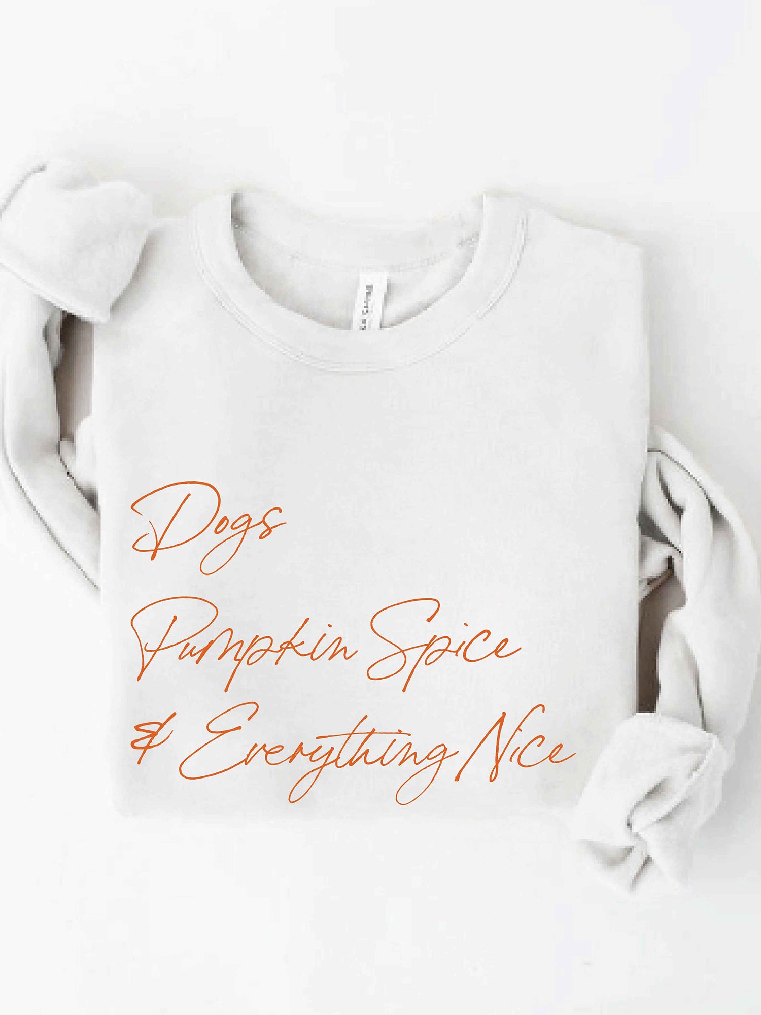 Light gray sweatshirt with the text "Dogs, Pumpkin Spice & Everything Nice" in orange script.
