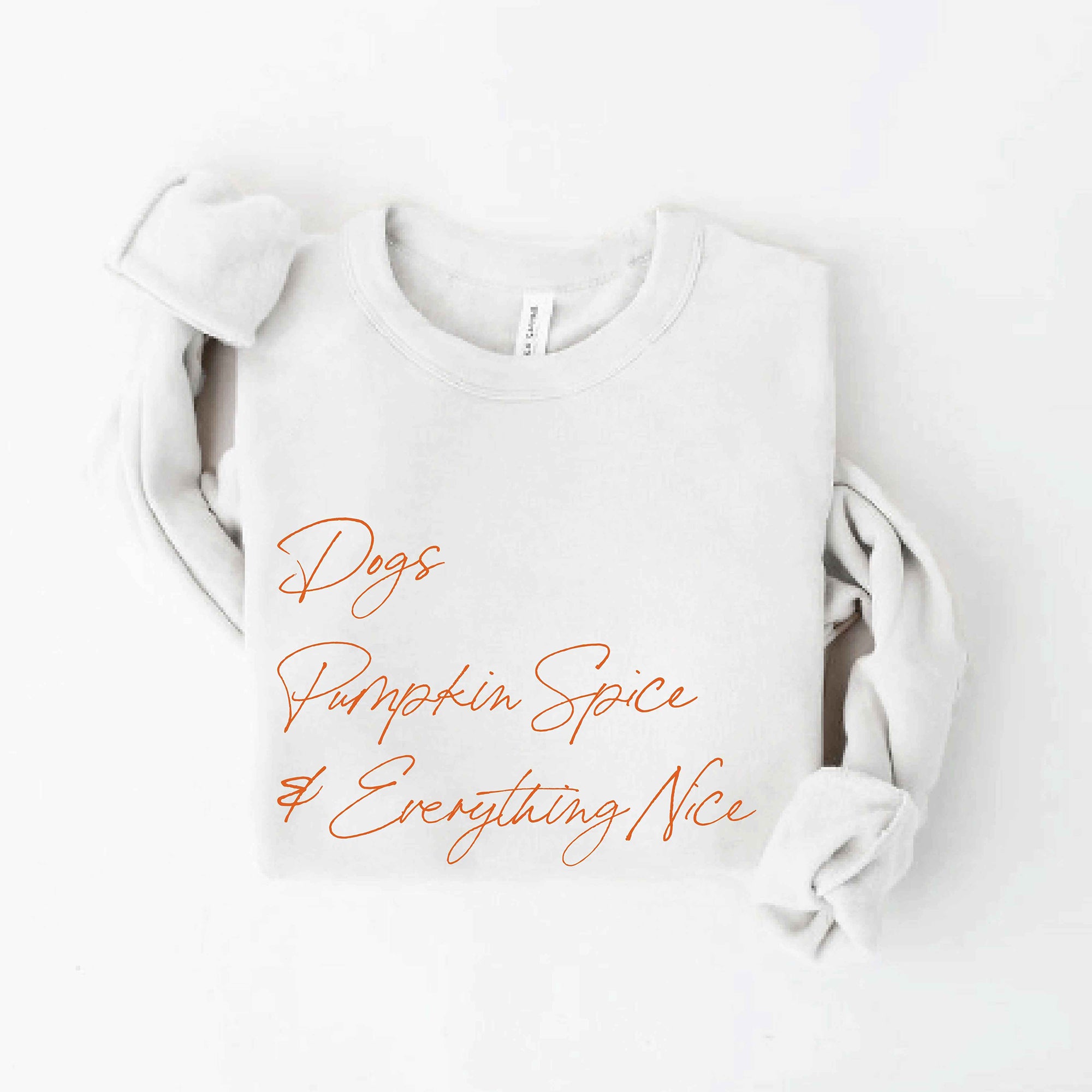 Light gray sweatshirt with the text "Dogs, Pumpkin Spice & Everything Nice" in orange script.