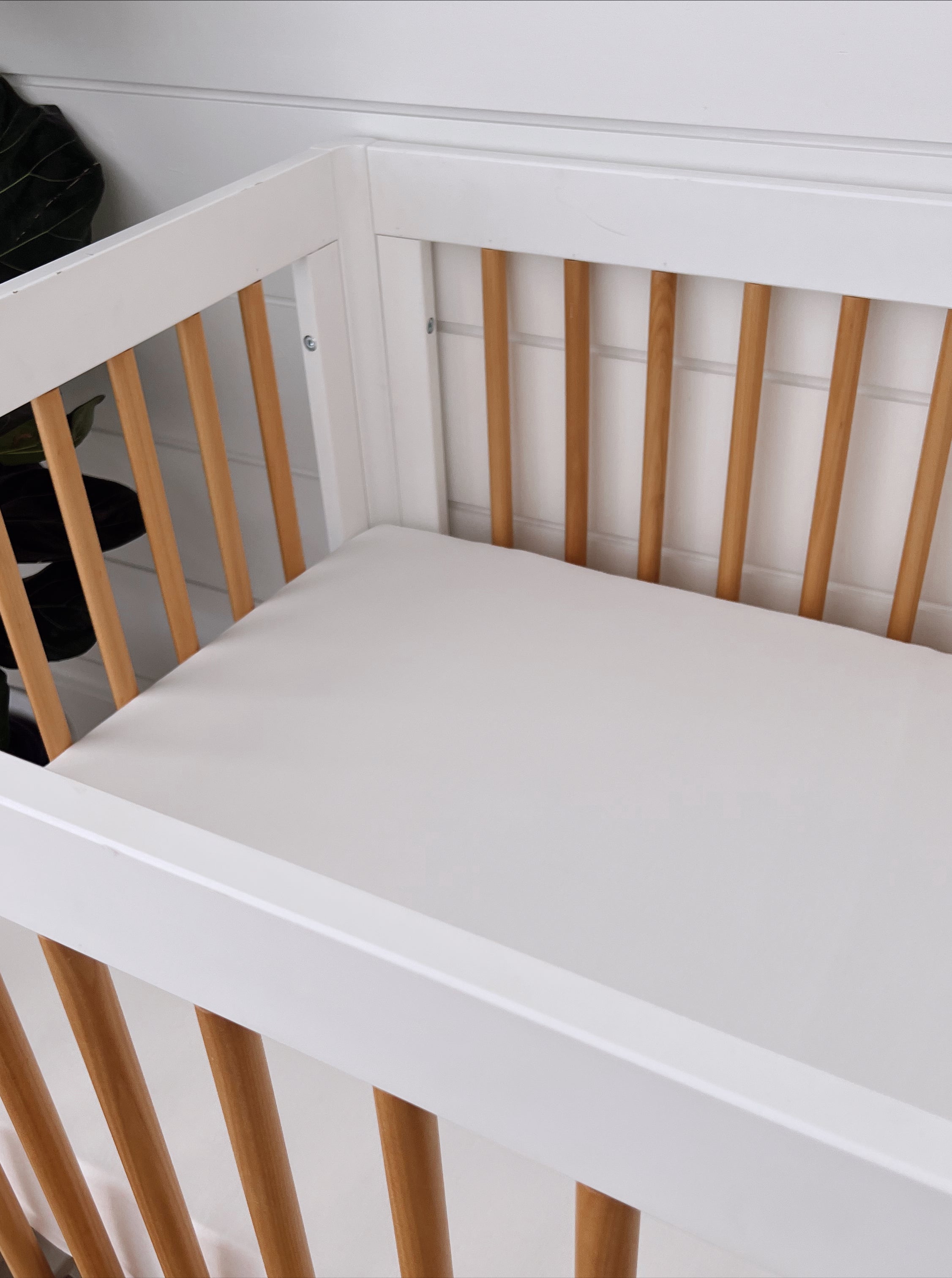 White crib with natural wooden slats and a soft, padded mattress, set against a light background and green plant.