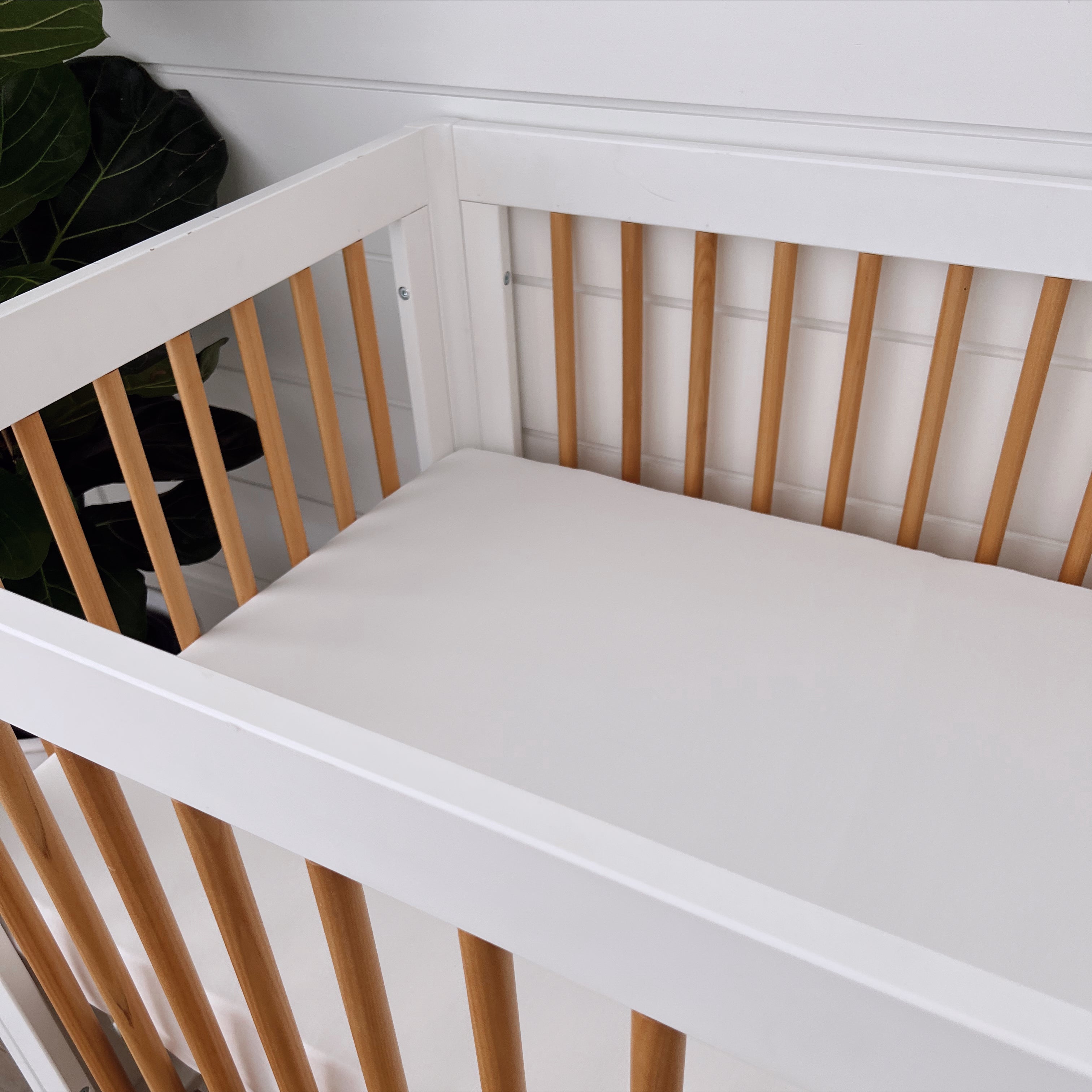 White crib with natural wooden slats and a soft, padded mattress, set against a light background and green plant.