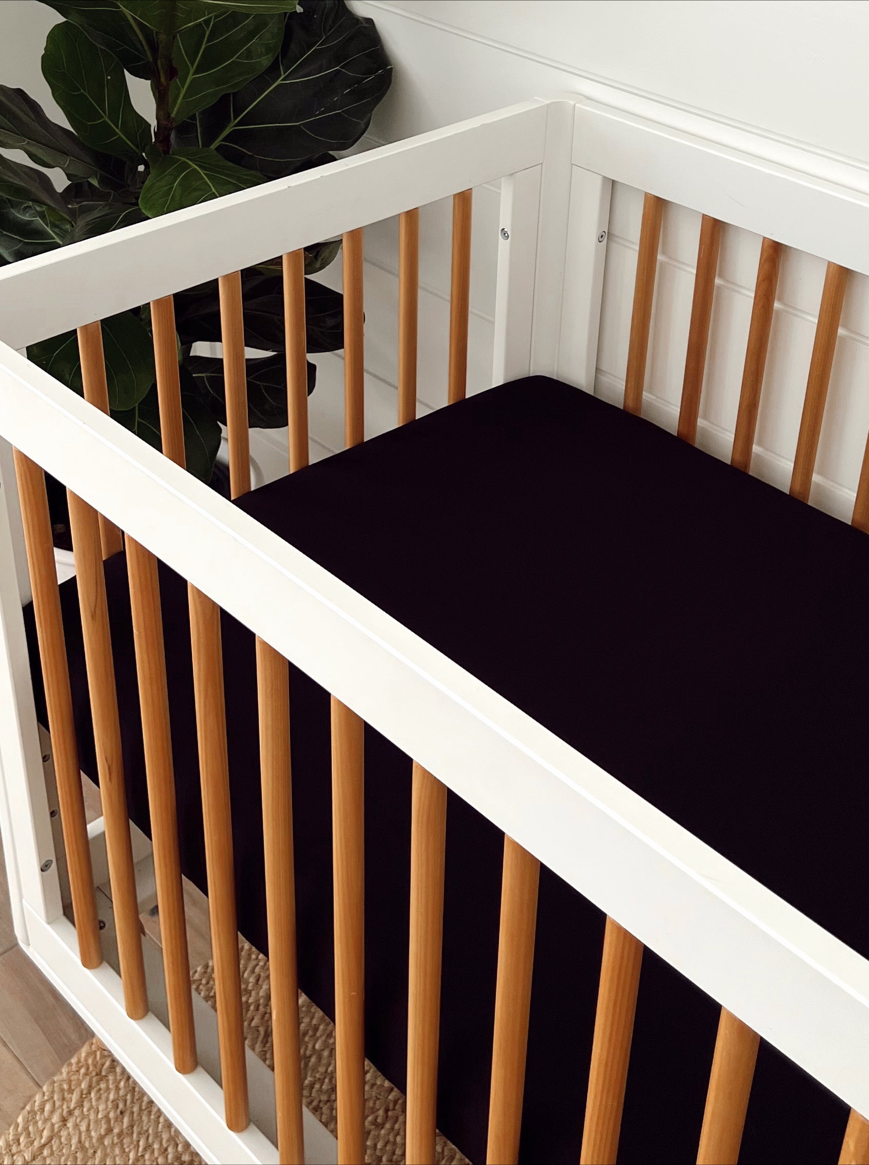 Modern crib with wooden slats and a dark mattress, surrounded by indoor plants and natural light.