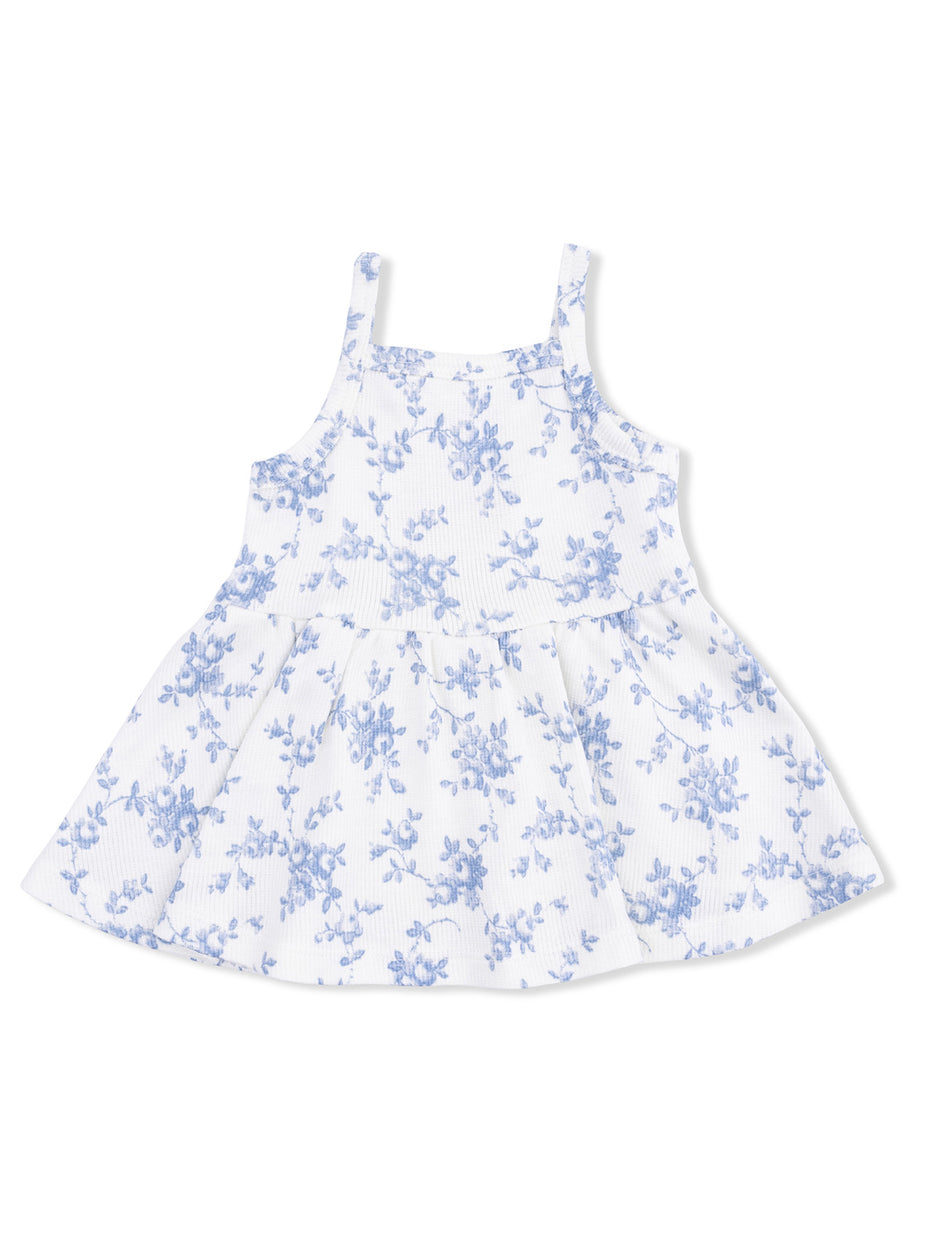 files/2-blue-vines-top-short.jpg