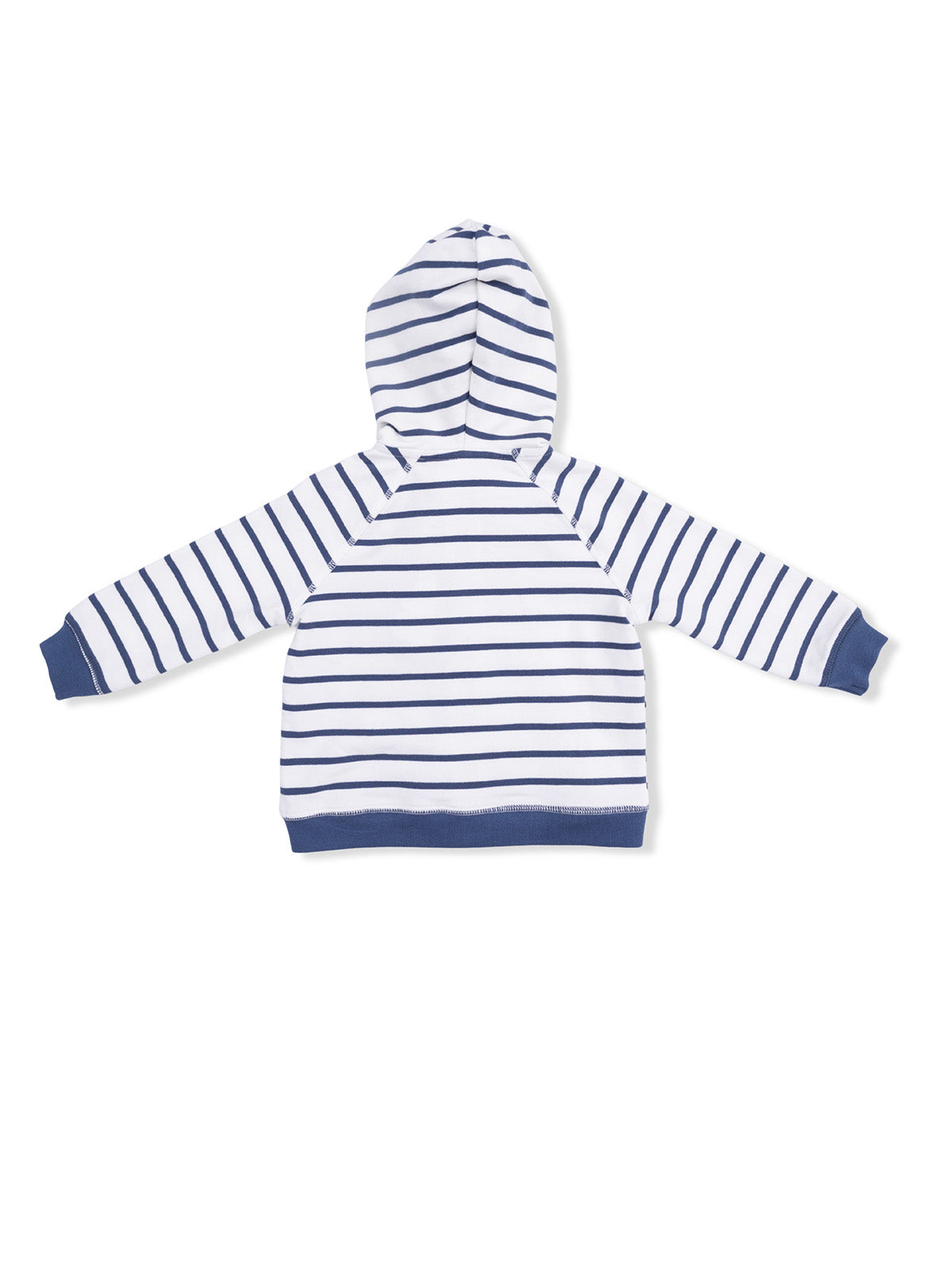 Back view of a striped navy and white hooded sweatshirt.