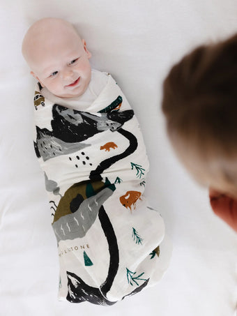 Swaddles
