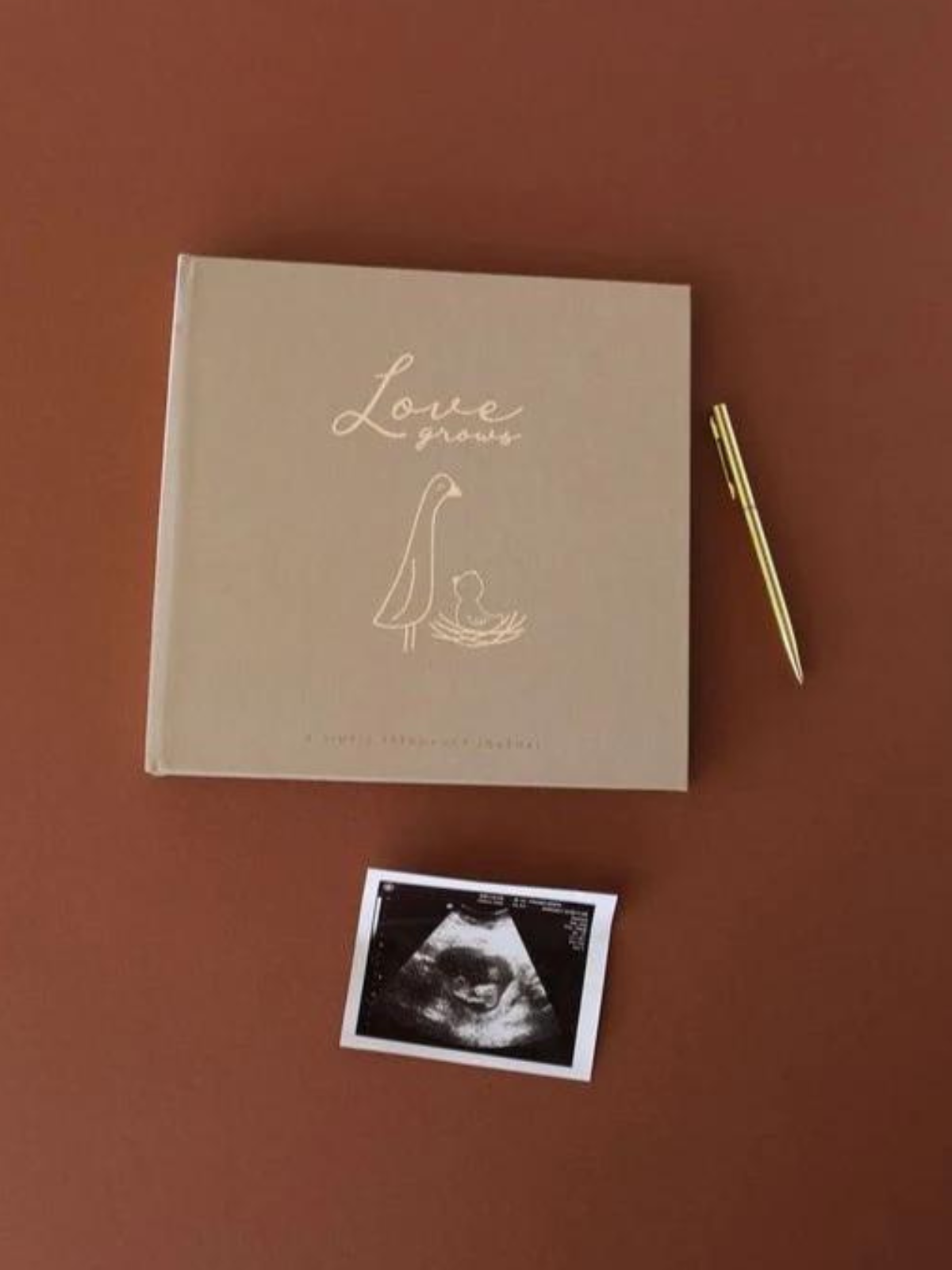 Pregnancy Journal, Desert Sand