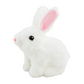 Hopping Plush Bunny Toy