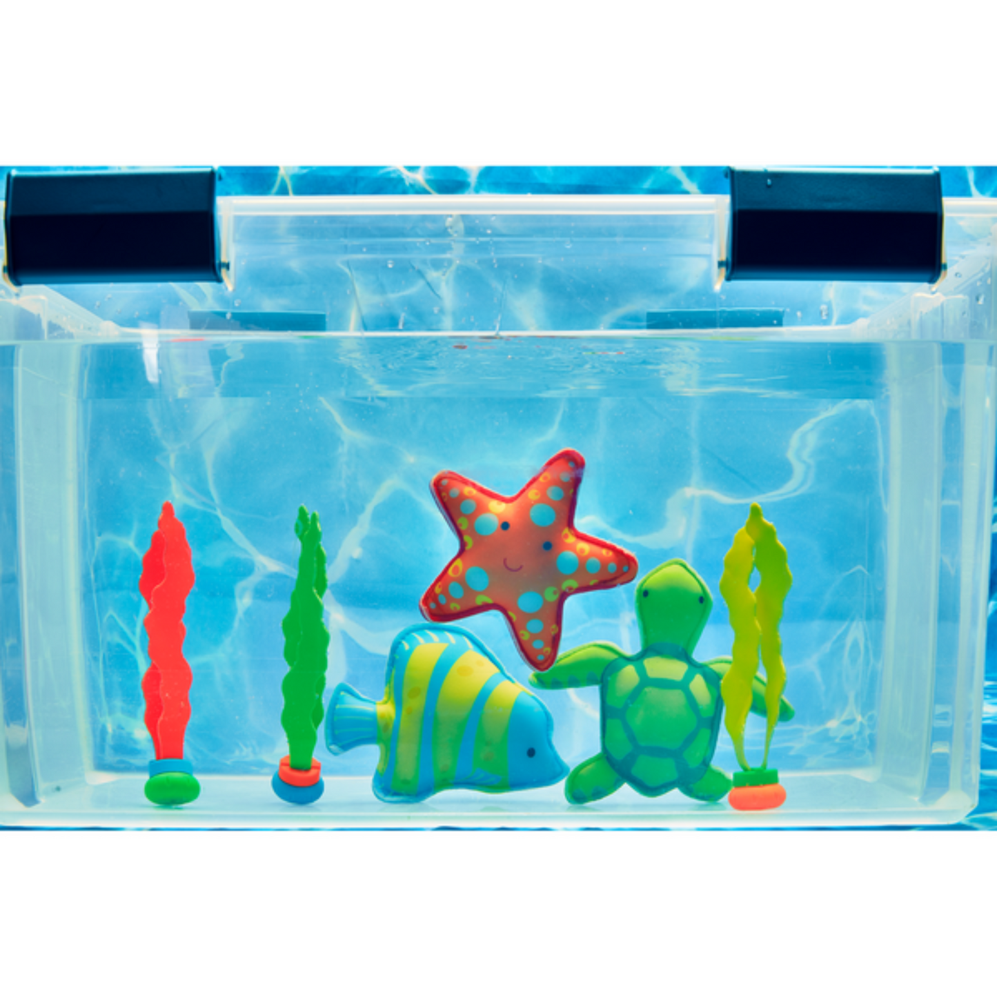 Fish Dive Toy Set