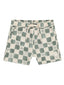 Rylee & Cru Boardshort, Coastal Check