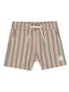 Rylee & Cru Boardshort, Multi-Stripe