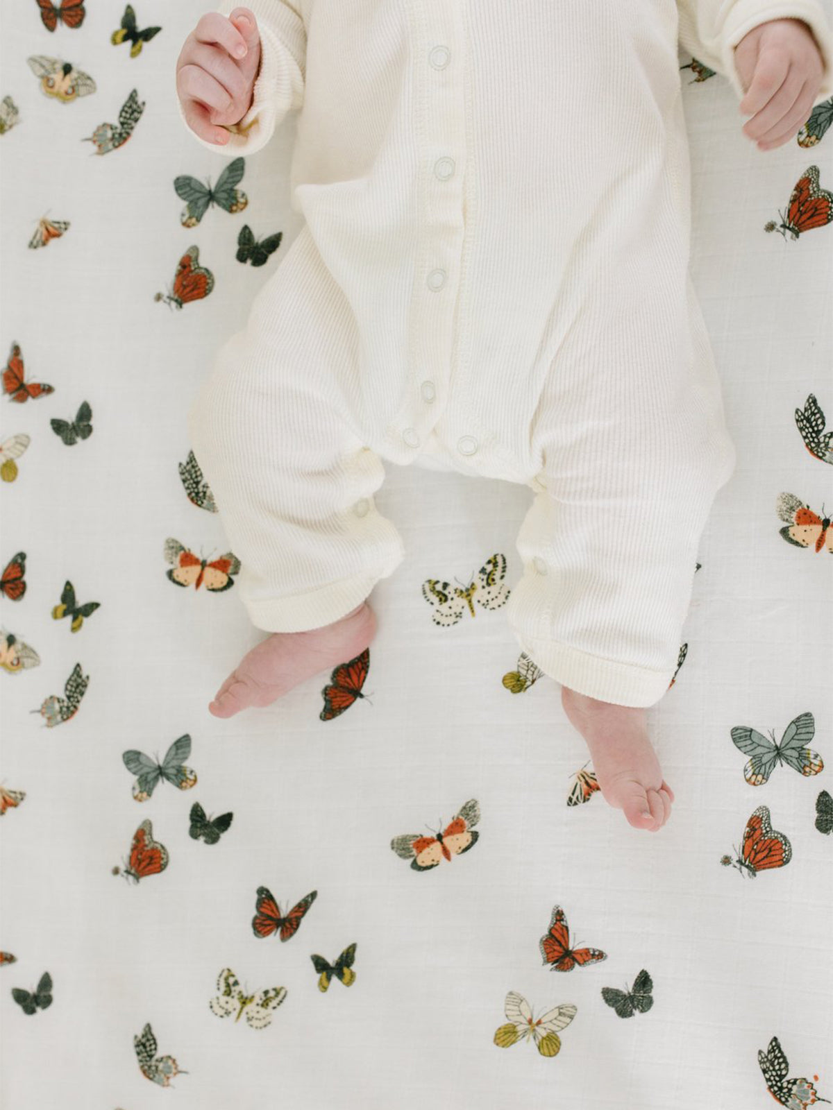 Butterfly crib sheet best sale