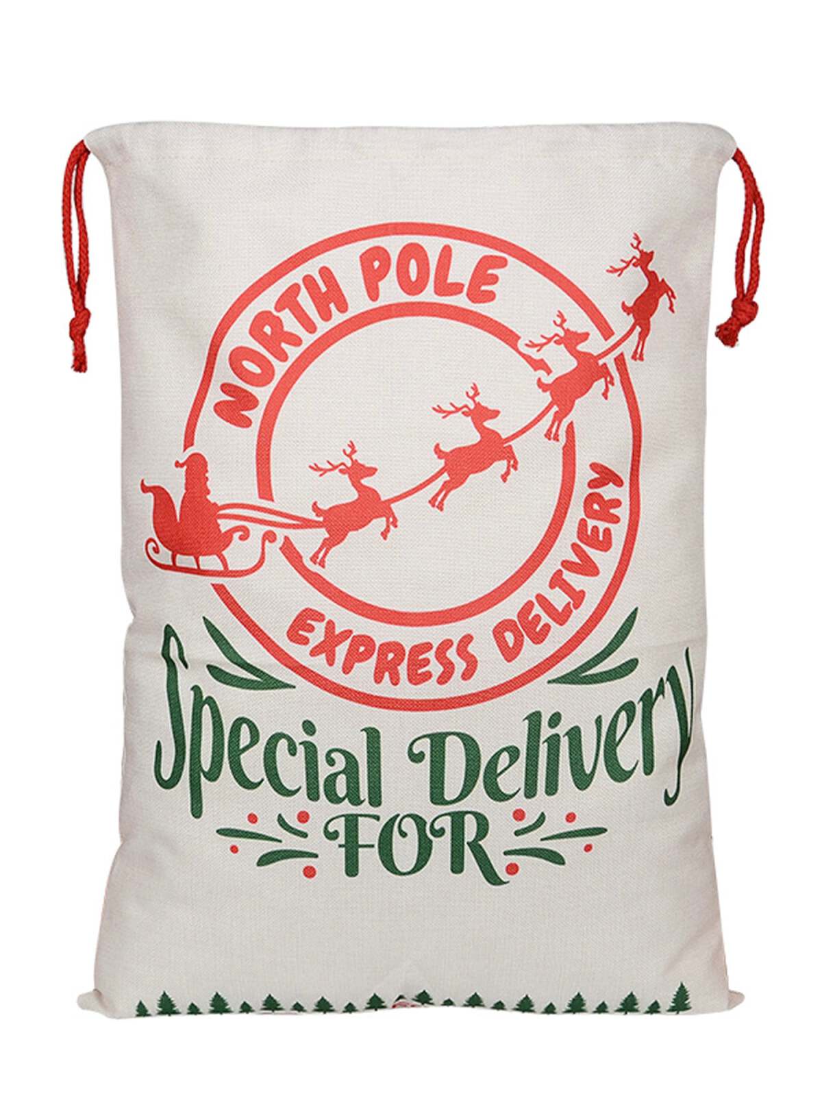 White gift bag with red and green text: "North Pole Express Delivery Special Delivery FOR" with reindeer illustration.