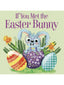 If You Met The Easter Bunny Board Book