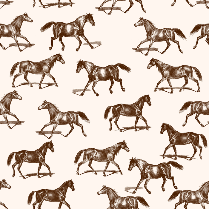 Wild Mustang