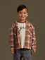 Rylee & Cru Hooded Overshirt, Brown Plaid