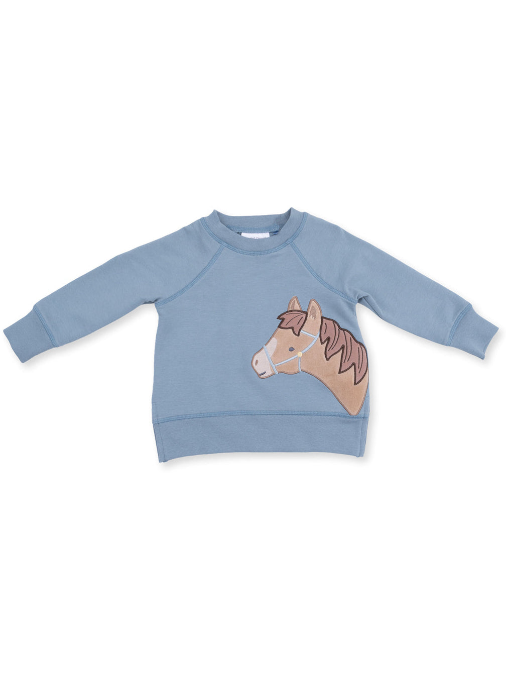 Raglan Sweatshirt, Blue Horse Head
