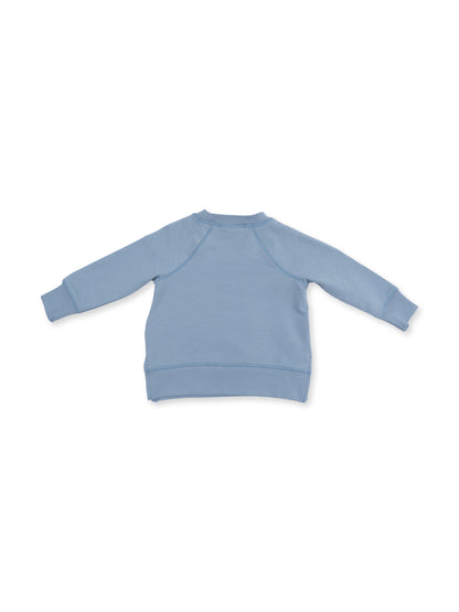 Raglan Sweatshirt, Blue Horse Head