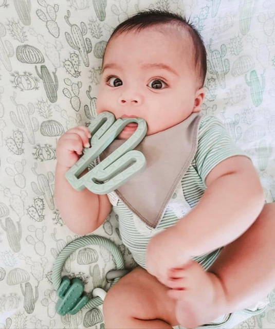 Silicone Baby Teether, Cactus