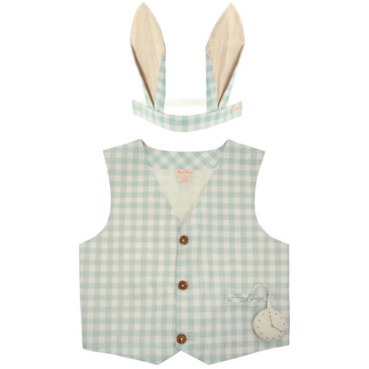 Light blue checkered vest with bunny ears headband and pocket watch detail. Suitable for playful costumes.