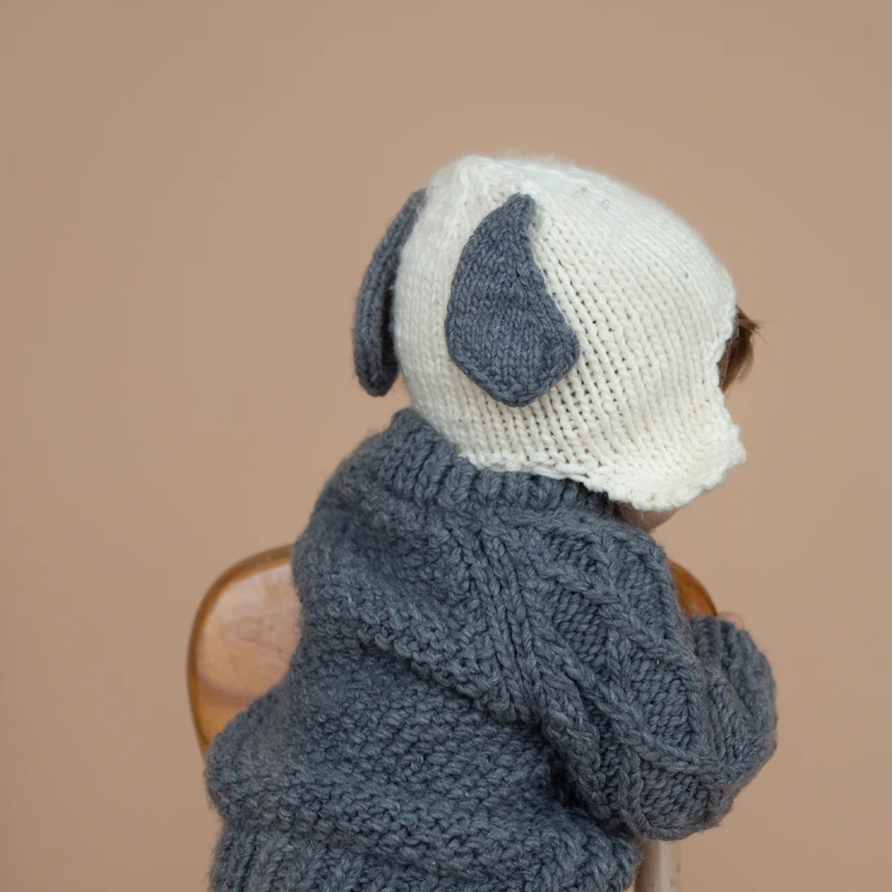 Knit Hat, Dog